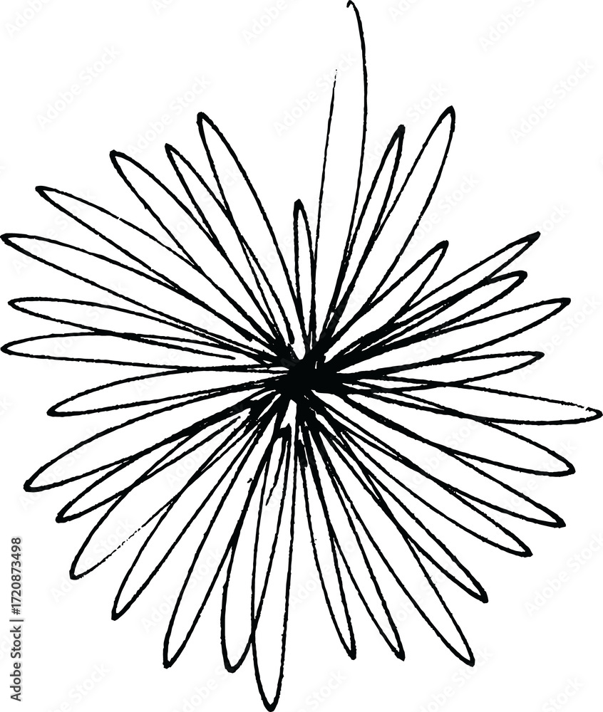 Obraz premium Botanical hand-drawing element