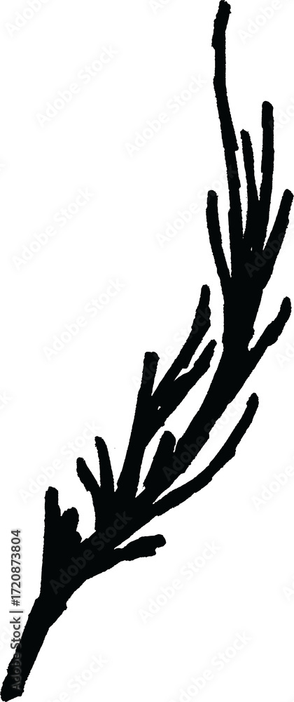 Fototapeta premium Botanical hand-drawing element