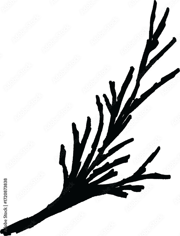 Obraz premium Botanical hand-drawing element