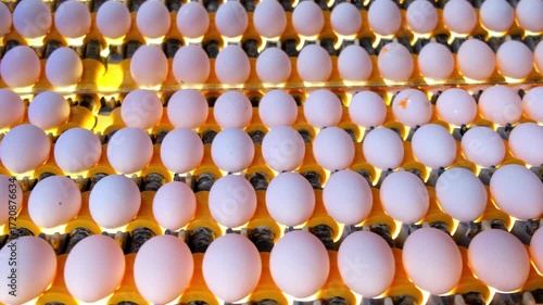The eggs are on the production line.