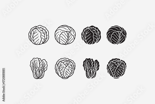 round, napa, savoy, leafy cabbage line icon set. cabbage vegetable silhouette symbol pack. leafy vegetables engraving element design bundle. food, produce, organic, farm, healthy. vector illustration.