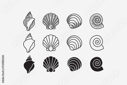 conch, scallop, clam, spiral shells line icon set. seashell assortment silhouette symbol pack. marine shell shape engraved element design bundle. summer, beach, ocean, nautical. Vector illustration.