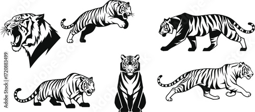 Tiger silhouette vector set, black and white animal icons, stylized wildlife clipart, editable jungle predator graphics for stock illustration