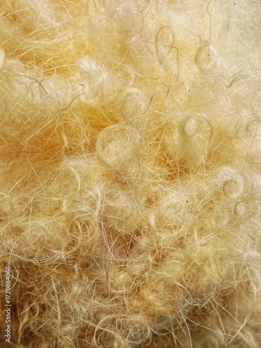 grunge background with place for your text. close up of a fur texture. natural background of sheep wool