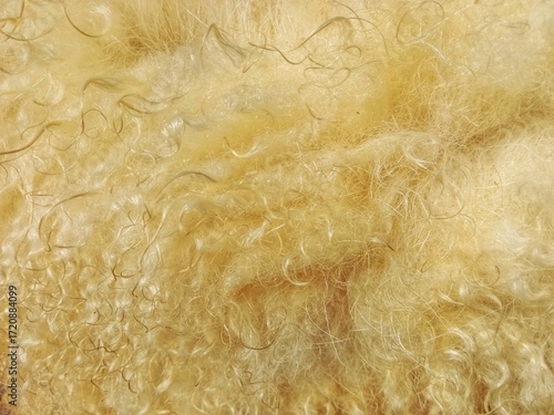 Close up of a fur texture. Natural background of sheep wool