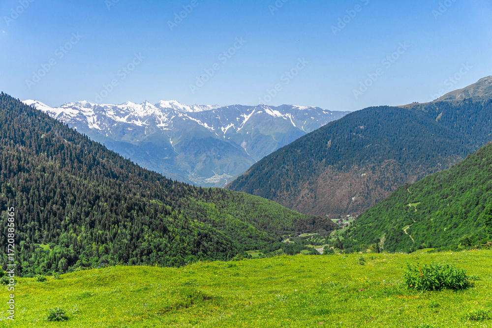 Obraz premium Field of green grass illuminated by the sun. Gorge between mountains covered with forest. Snow capped mountain ranges in the background