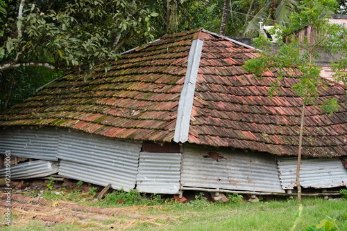 Canvas-taulu Traditional rural Indian hut with rusted corrugated metal roof and trees
