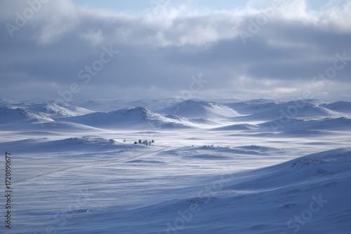 Wallpaper Mural WINTER SEASON Torontodigital.ca