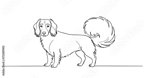 Line drawing of a dog