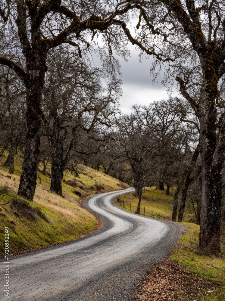 Fototapeta premium WINTER SEASON