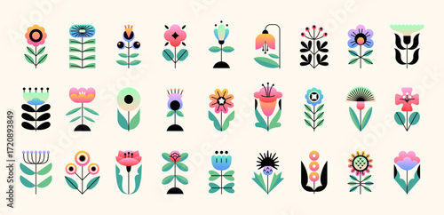Beautiful geometric flowers. Blooming plants, botanique simple elements, floral icons, spring and summer season, folk style, gradient flat botanical, minimal plant graphic, tidy vector set