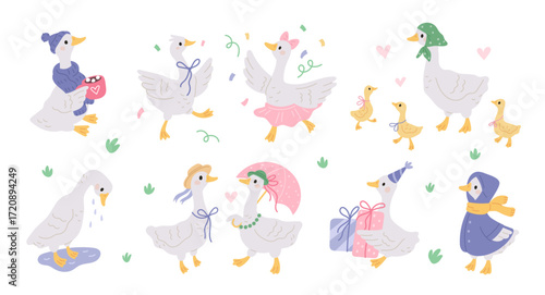 Funny domestic geese. Farm domestic birds, cartoon characters, cute little goslings, couple in love, mother goose in headscarf, childish decorative stickers, garish vector isolated set