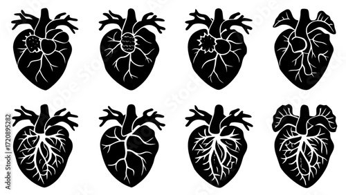 Vector art of a collection of eight stylized black anatomical heart illustrations with intricate vein and artery details, isolated on a