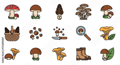 Diverse Mushroom Collection - Edible Fungi and Hunting Gear Illustrations.
