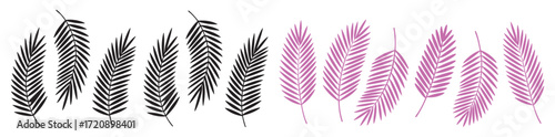 Pink black tropical palm leaves graphic set. Trendy hand drawn leaves silhouettes. Decorative botanical elements isolated on transparent background.