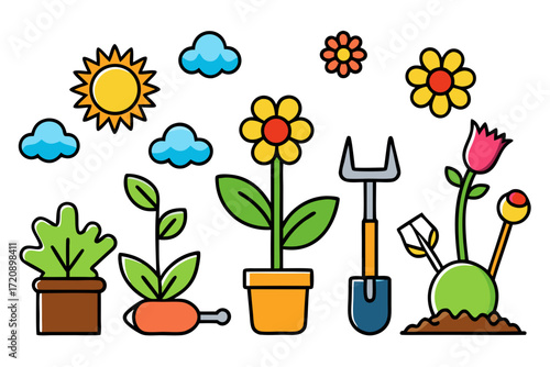 flowers in pots