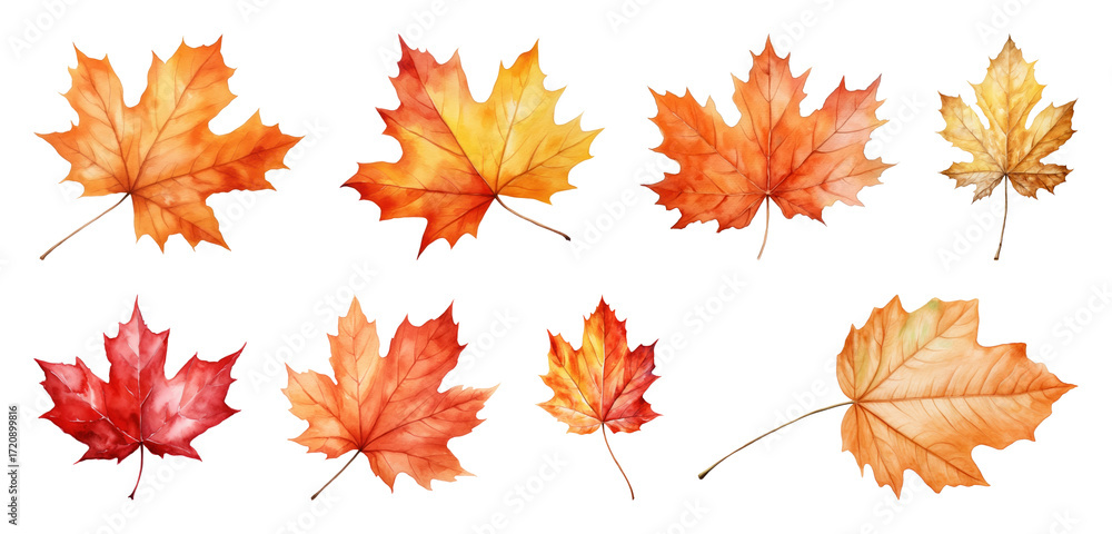 Fototapeta premium Vibrant watercolor autumn leaves collection.