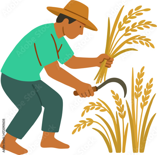 farmer harvesting rice plant in paddy field vector design
