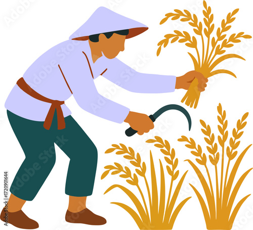 farmer harvesting rice plant in paddy field vector design