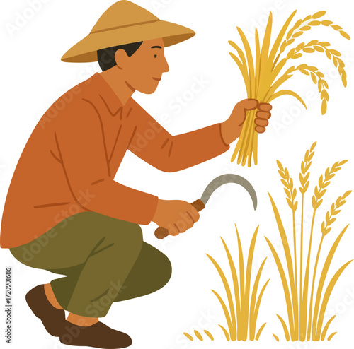 farmer harvesting rice plant in paddy field vector design