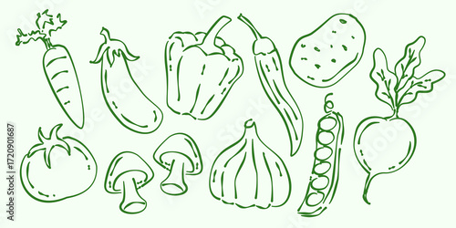 Set of hand drawn vegetables and harvest produce. Carrot, potato, tomato, bell pepper, garlic, eggplant, beans illustration in vector. Vegetable doodles.