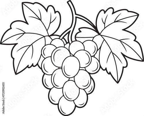 Simple Grapes Outline Drawing – Fruit Coloring Page for Kids
