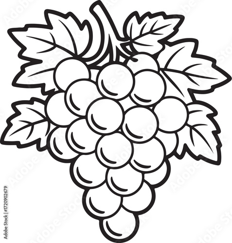 Simple Grapes Outline Drawing – Fruit Coloring Page for Kids