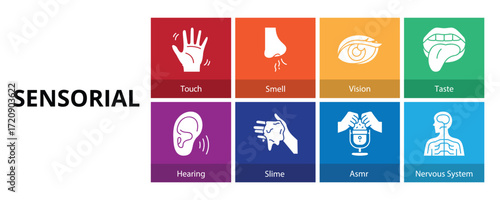 Sensorial Glyph Solid Banner Web Icon Set Vector Illustration, Touch Smell Vision Taste Hearing Slime ASMR Nervous System