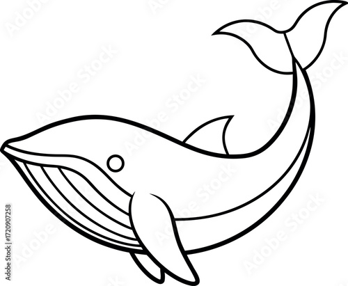 dolphin vector illustration