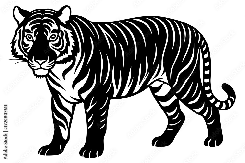 Fototapeta premium A realistic tiger