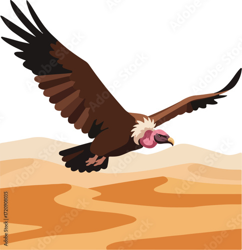 Brown vulture soaring over desert landscape, perfect for naturethemed designs, conservation campaigns, adventure promotions, educational materials, and wildlife presentations.