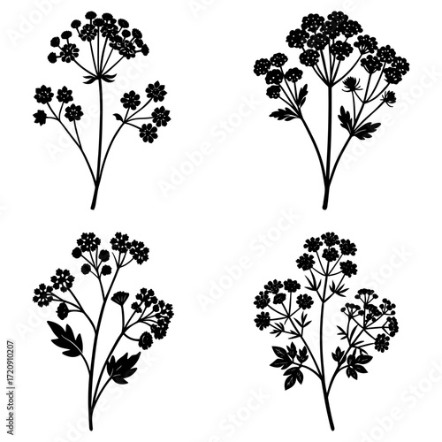 Illustration of four black and white flowering plants with detailed blossoms and foliage designs shown clearly