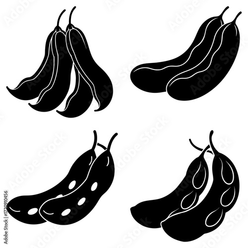 Illustration of four sets of black bean pods in varying stages of maturity on a white background