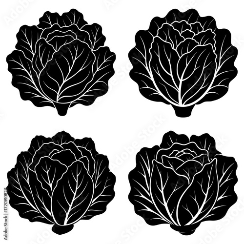 Four black and white cabbage heads with detailed leaf patterns arranged in a square formation on white