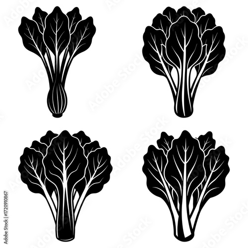 Four stylized black and white illustrations of leafy green vegetables with prominent leaf veins shown
