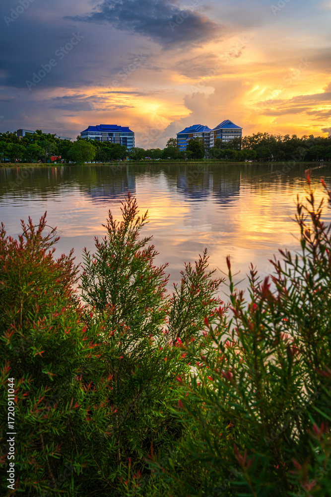Obraz premium Jogging track in the park for relaxing walking jogging lake views and the reservoir the forest summer with evening blue dramatic sunset sky nature background.