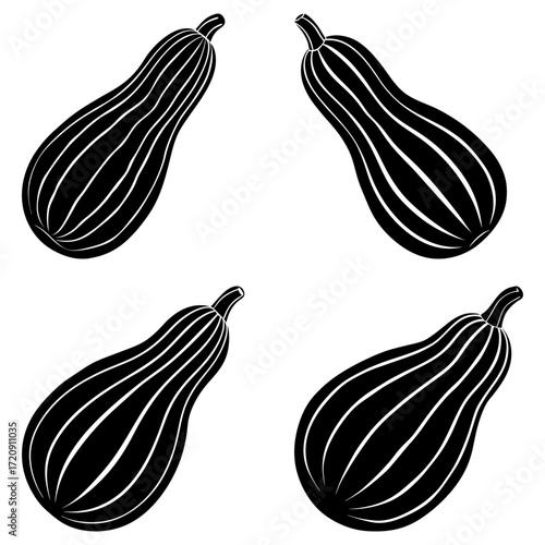 Four black and white striped butternut squash arranged in a symmetrical pattern on a white background