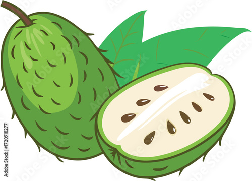 Green soursop fruit with leaves and seeds vector
