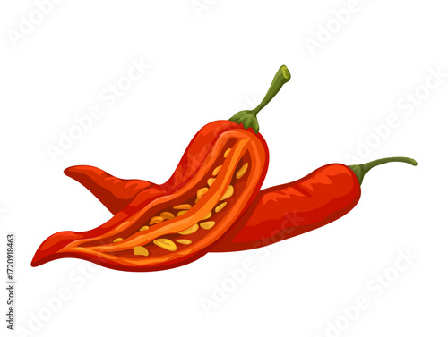 Chili Slice Vegetable Illustration Vector
