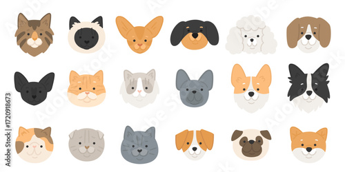 Cats and dogs breeds set. Cute portraits of abissian, persian, siamese, scottish fold, shiba inu, jack russell, corgi, pug, dachshund. Flat style vector set of pets.