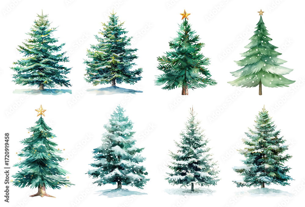 Obraz premium Watercolor evergreen trees wintery charm.