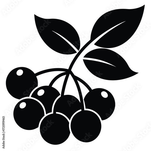 red berries silhouette vector illustration