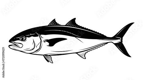 Black and white graphic illustration of a tuna style fish with fins and scales isolated on white background, detailed marine life artwork
