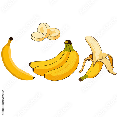 Exploring the Vibrant World of Banana Art and Design: From Digital Illustrations to Creative Concepts and Visual Masterpieces