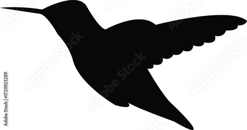 Flying Anna's hummingbird Silhouette Design And Vector Illustration. 