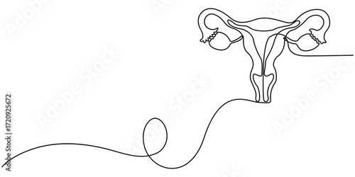 Human reproductive system one line continuous drawing. Human organ continuous one line illustration. Vector minimalist linear illustration, one line outline vector illustration for women's health.