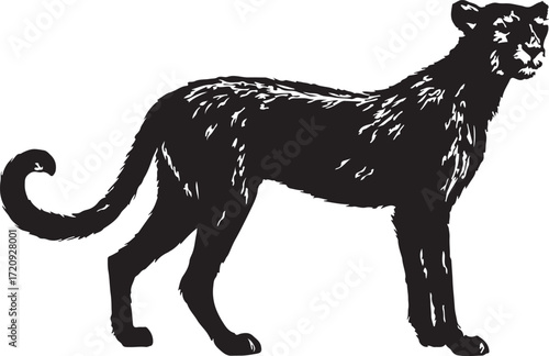 Stylized black and white illustration of a sleek powerful cheetah standing alert with a long curved tail