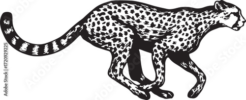 Dynamic black and white illustration of a cheetah in full stride showcasing its speed and agility
