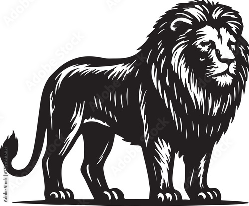 Majestic black silhouette of a powerful male lion standing proudly with a full mane