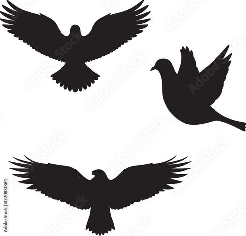 Birds in Flight Silhouette
